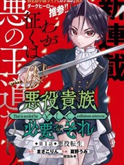 宅男视频漫画：海贼王